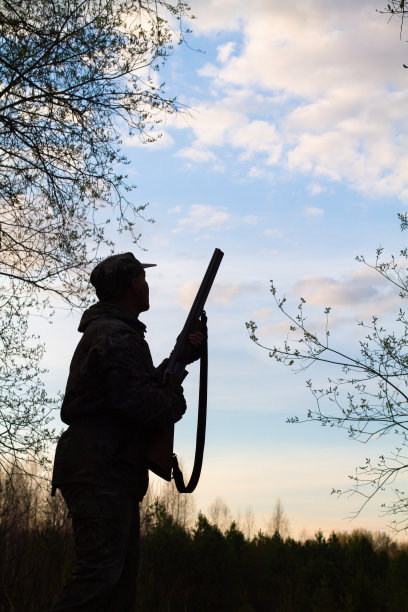 黄昏时分，一个拿着猎枪的猎人随时待命图片下载