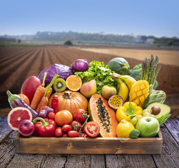 各种水果和蔬菜在一个木盒后新鲜收获犁过的田地图片下载