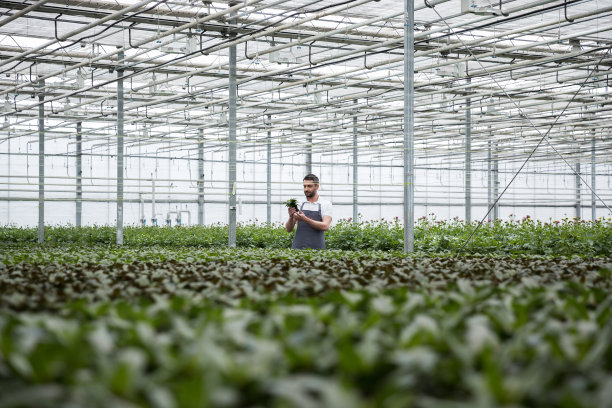 一个聚精会神的年轻人站在温室里靠近植物的地方图片下载