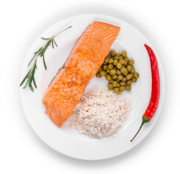 烤三文鱼片配米饭。图片下载