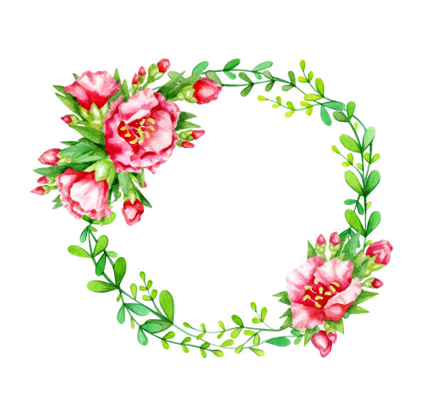 红花绿叶，抽象圆框，孤立在白色上。水彩手绘插图。图片下载