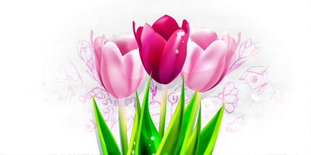 盛开的蒲公英在彩色的自然背景图片下载