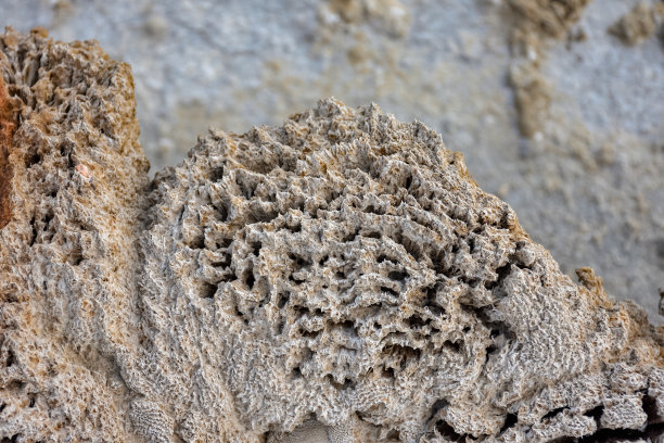 治疗泥浆在干燥的盐湖，盐湖，盐湖底部图片下载
