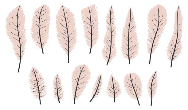 手绘白色的鸟羽毛，在平坦的风格孤立在白色背景设置。图片下载