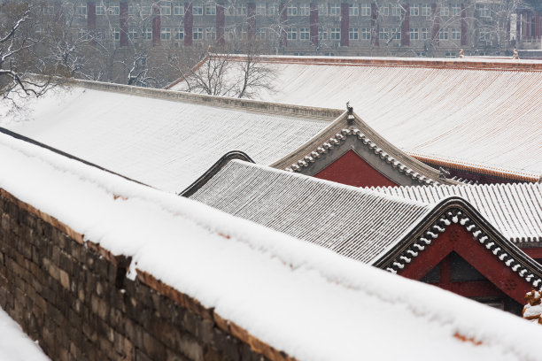 北京紫禁城雪中图片下载