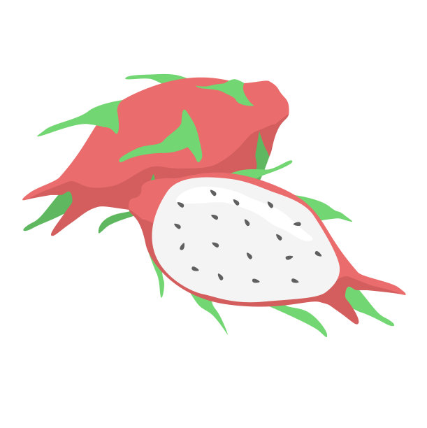 孤立于白色水果或食物中的火龙果图片下载