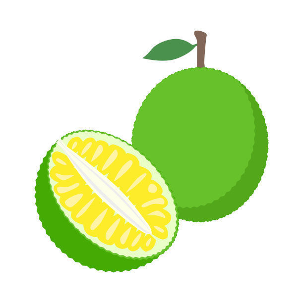 从白色水果或食物中分离出来的菠萝蜜图片下载