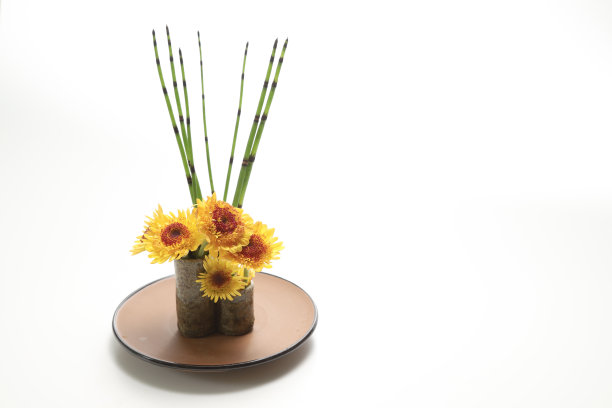 以日式排列的蒲草和菊花。图片下载