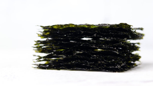 白色背景下紫菜的特写照片。图片下载