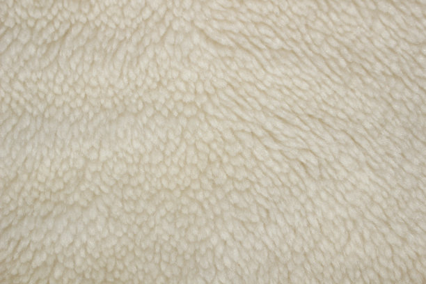 美丽而简单的米色背景图片下载