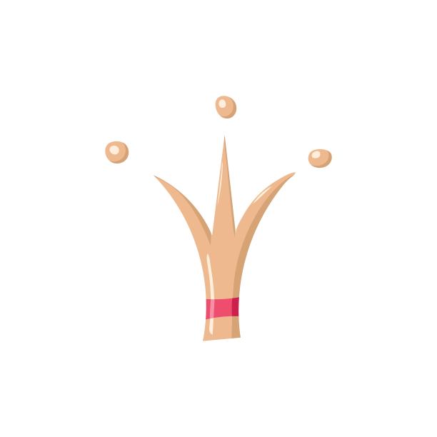 甜蜜的皇冠。皇冠涂鸦。皇冠矢量图标。公主皇冠设计孤立在白色背景。矢量插图。图片下载