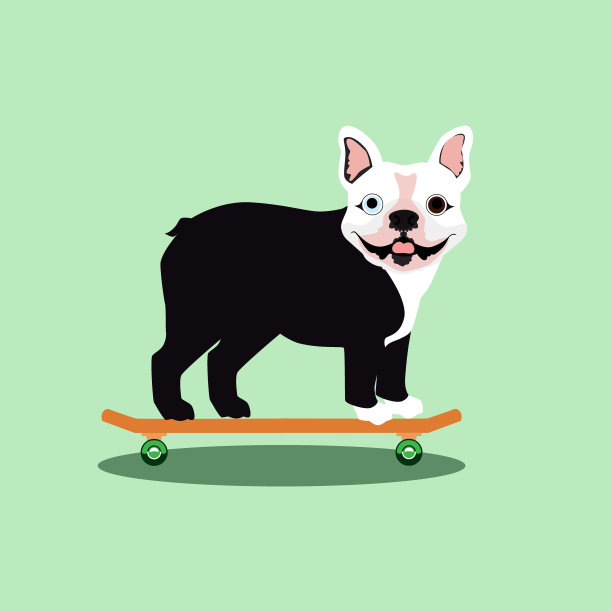 滑板上的斗牛犬图片下载