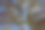 从下面看到的一组大树图片下载