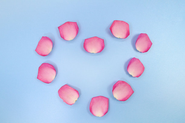 心形的玫瑰在蓝色的背景。节日，情人节，国际妇女节。本空间图片下载