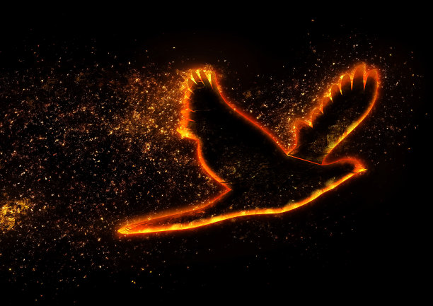 一只在黑暗中拍动翅膀的火鸟图片下载