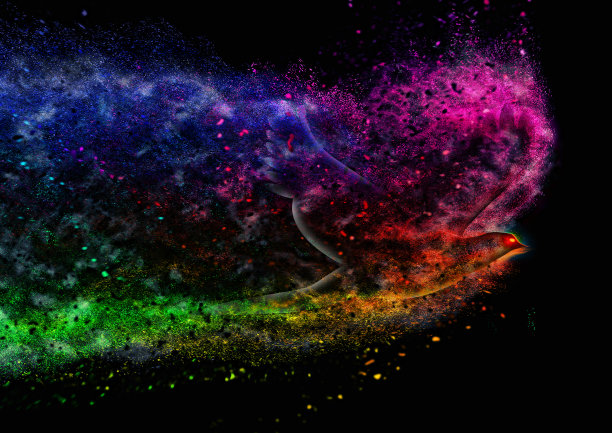 一只鸟拍打着翅膀，溅起彩色的水花图片下载