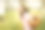 年轻微笑的女人拿着篮子，从花园里收获新鲜的西红柿图片下载