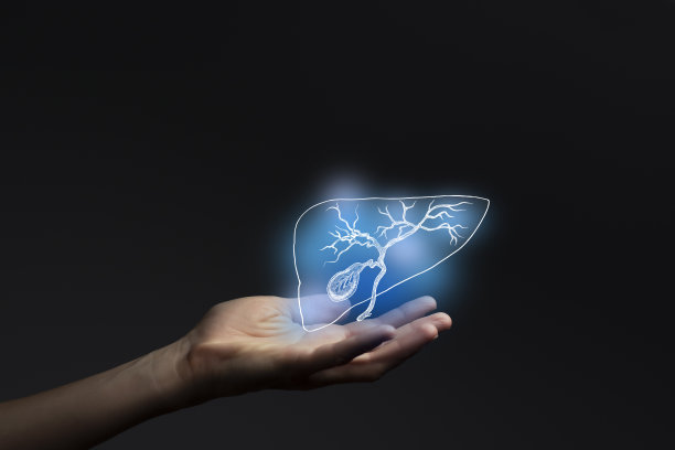 人类胆囊的美学手绘插图突出蓝色。照片拼贴与女性手在黑暗的工作室背景。图片下载