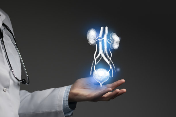 肾病医生，肾脏系统专家。美学手绘人类肾脏系统的突出插图。中性灰色背景，工作室照片和拼贴。图片下载