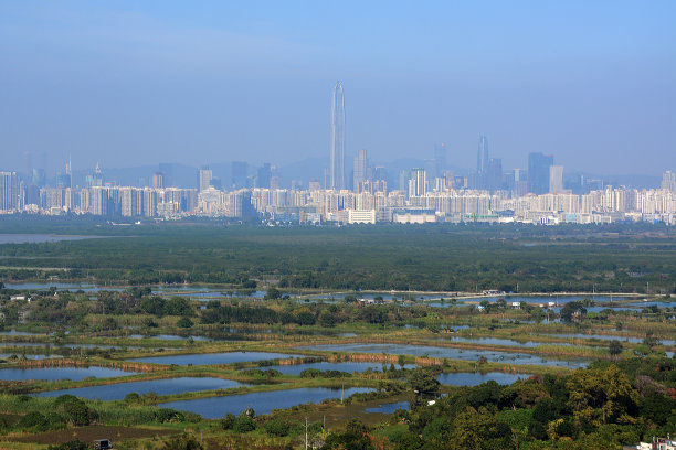 从香港新界启山俯瞰深圳的天际线图片下载