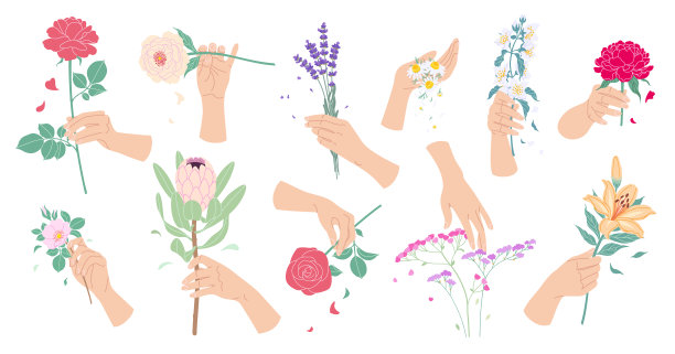 花的组成与女性的手和花图片下载