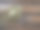 金孔雀羽毛。装饰用的镀金树枝，呈孔雀尾巴和孔眼形状。木制背景。节日装饰和美丽的嘉年华装饰。平铺复制空间图片下载
