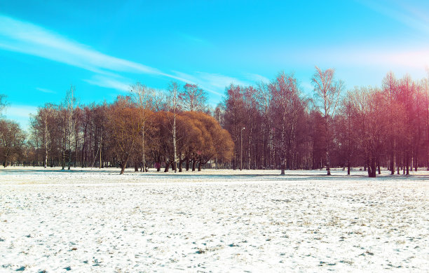 在早春的一个阳光明媚的日子里。2月,3月,背景图片下载