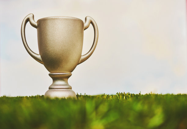 银色奖杯在草与天空背景和复制空间图片下载