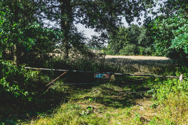 风景中田野前的屏障。图片下载