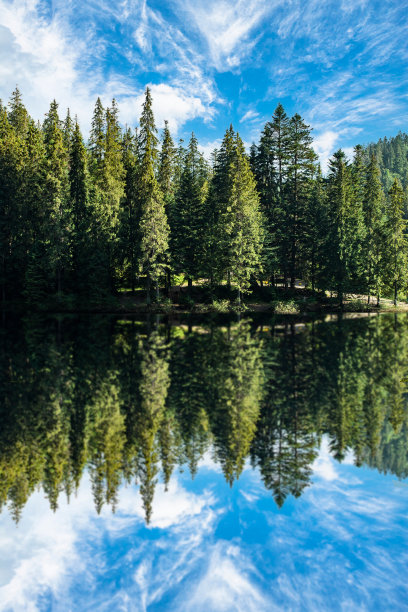 在夏日的蓝天下，针叶林倒映在清澈的湖面上。垂直的照片。图片下载