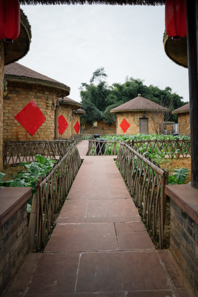 一屋子的米图片下载