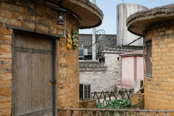 一屋子的米图片下载