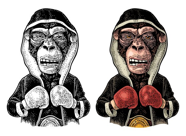 猴子拳击手穿着长袍、手套和冠军腰带。的雕刻图片下载
