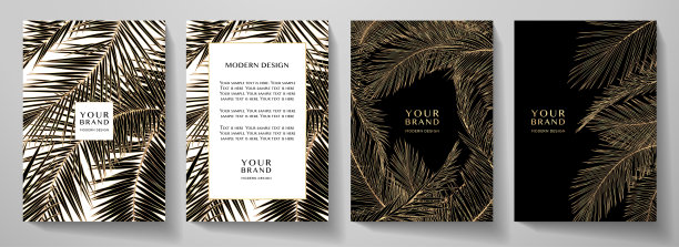 热带覆盖，框架设计与线棕榈叶图案(金棕榈树叶)图片下载