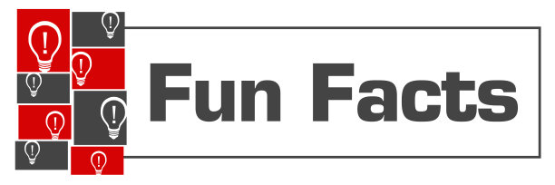 有趣的事实红黑灯泡网格左方框水平图片下载