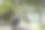 年轻人在白天使用智能手机，背景是一个绿色的公园。高质量的照片图片下载