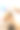快乐卷曲的拉布拉多犬的垂直特写镜头，女美容师在美容沙龙的浴缸里用洗发水洗头。图片下载