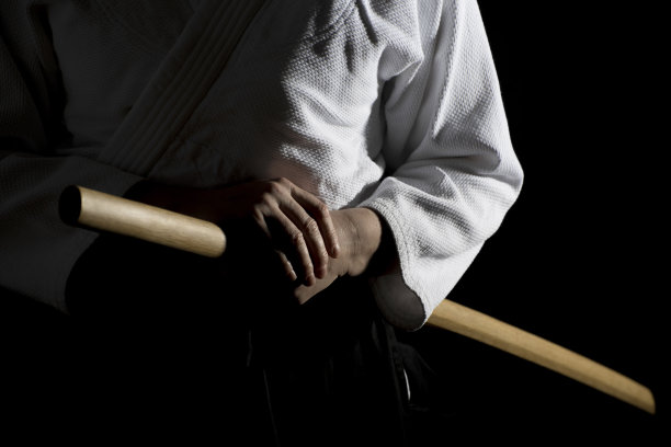 Bokken Over Black的战斗姿势图片下载