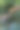 女园丁用花园软管给热带植物无花果浇水，在温室工作图片下载