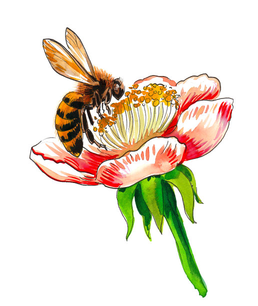 飞翔的蜜蜂和花朵图片下载
