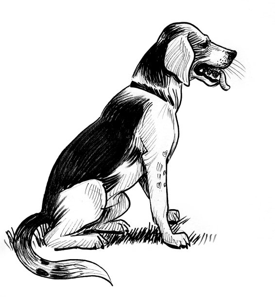 坐着的狗图片下载