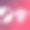全国狗饼干日。2月23日。节日的概念。模板背景，横幅，卡片，与文字题字海报。向量EPS10插图。图片下载