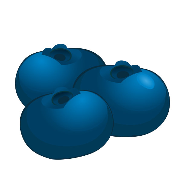 逼真的新鲜蓝莓在白色的背景-向量图片下载