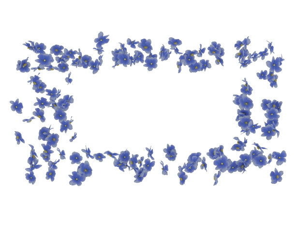 美丽的花框架上白色图片下载