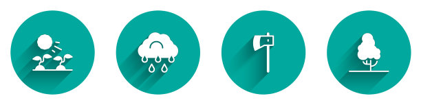 Set plant sprouts Set plant新芽Set plant新芽Set plant新芽Set plant新芽Set plant新芽Set plant新芽图片下载