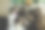 社交聚会庆祝生日图片下载