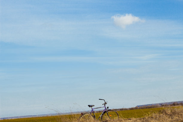 老式的紫色自行车站在田野里。乡下的一辆自行车。自由的概念。爱运动。积极的休闲活动。本空间图片下载