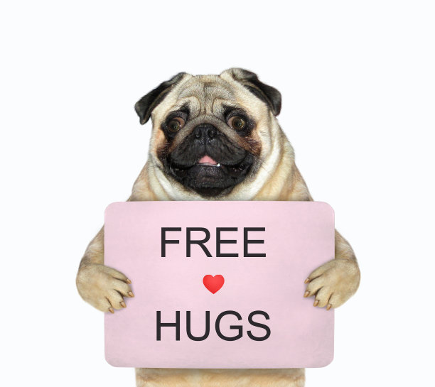 哈巴狗抱着海报，上面写着免费拥抱图片下载