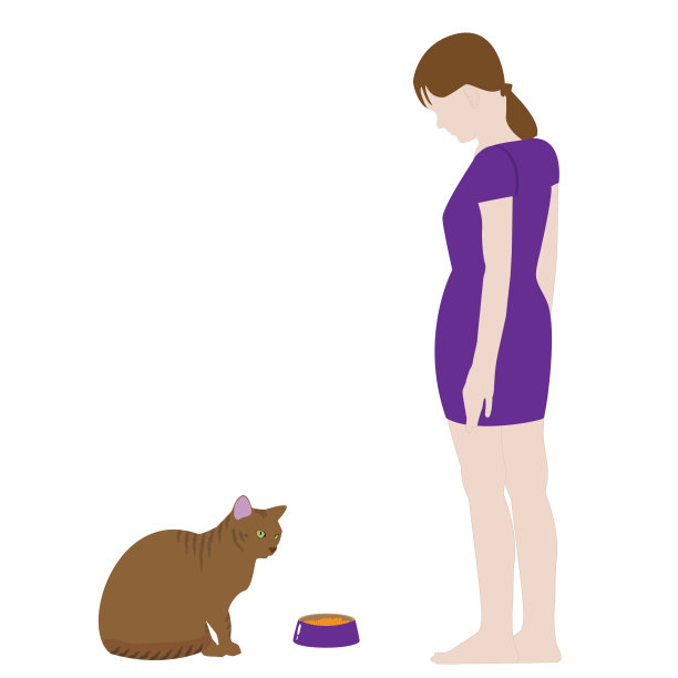 在白色背景下喂猫的女孩。没有人性的矢量图图片下载