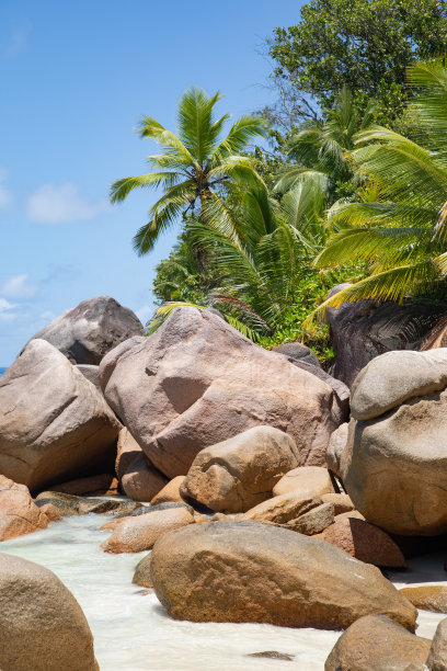 娇小的安西Kerlan图片下载